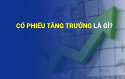 Cổ phiếu tăng trưởng là gì? Chiến lược đầu tư cổ phiếu tăng trưởng Cổ phiếu tăng trưởng là gì? Chiến lược đầu tư cổ phiếu tăng trưởng